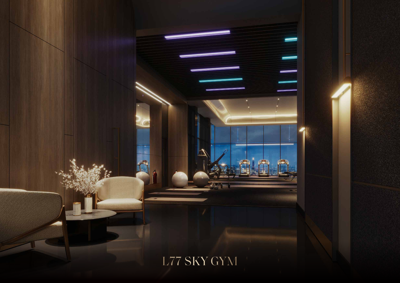 Level 77 sky gym